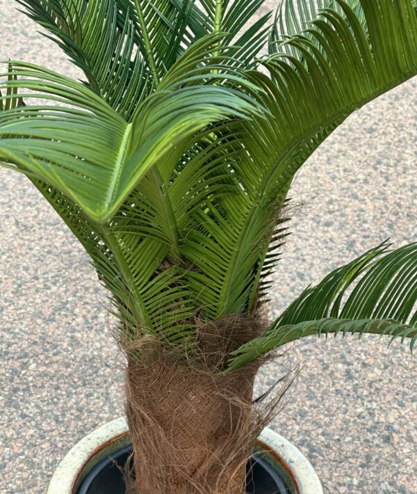 Palm | Konstgjord Cycas äkta palmfaser UV 110 cm - Bild 9