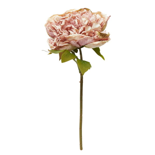 Pion | Konstgjord snittblomma Gammal rosa 30 cm - Bild 2