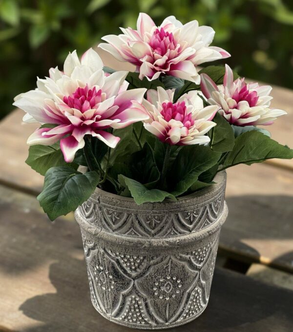 Dahlia | Krukväxt Lila 30 cm