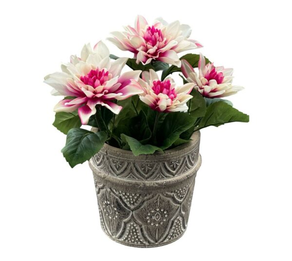 Dahlia | Krukväxt Lila 30 cm