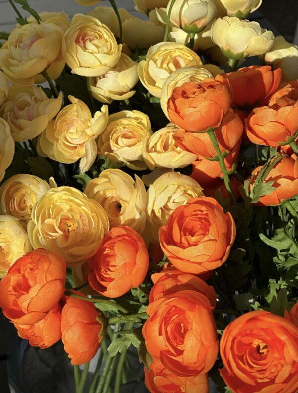 mini ranunculus