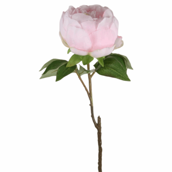 Pion | Konstgjord Snittblomma Ljusrosa 58 cm - Bild 3