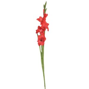 Gladiolus | Konstgjord Snittblomma Röd UV 74 cm