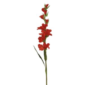 Gladiolus | Konstgjord Snittblomma Röd UV 100 cm