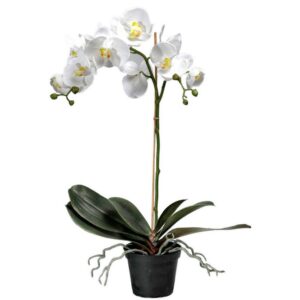 Konstgjord vit Phalaenopsis/Orkidé 60 cm