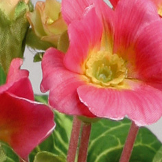 Primula | Konstgjord Snittblomma Rosa UV 20 cm