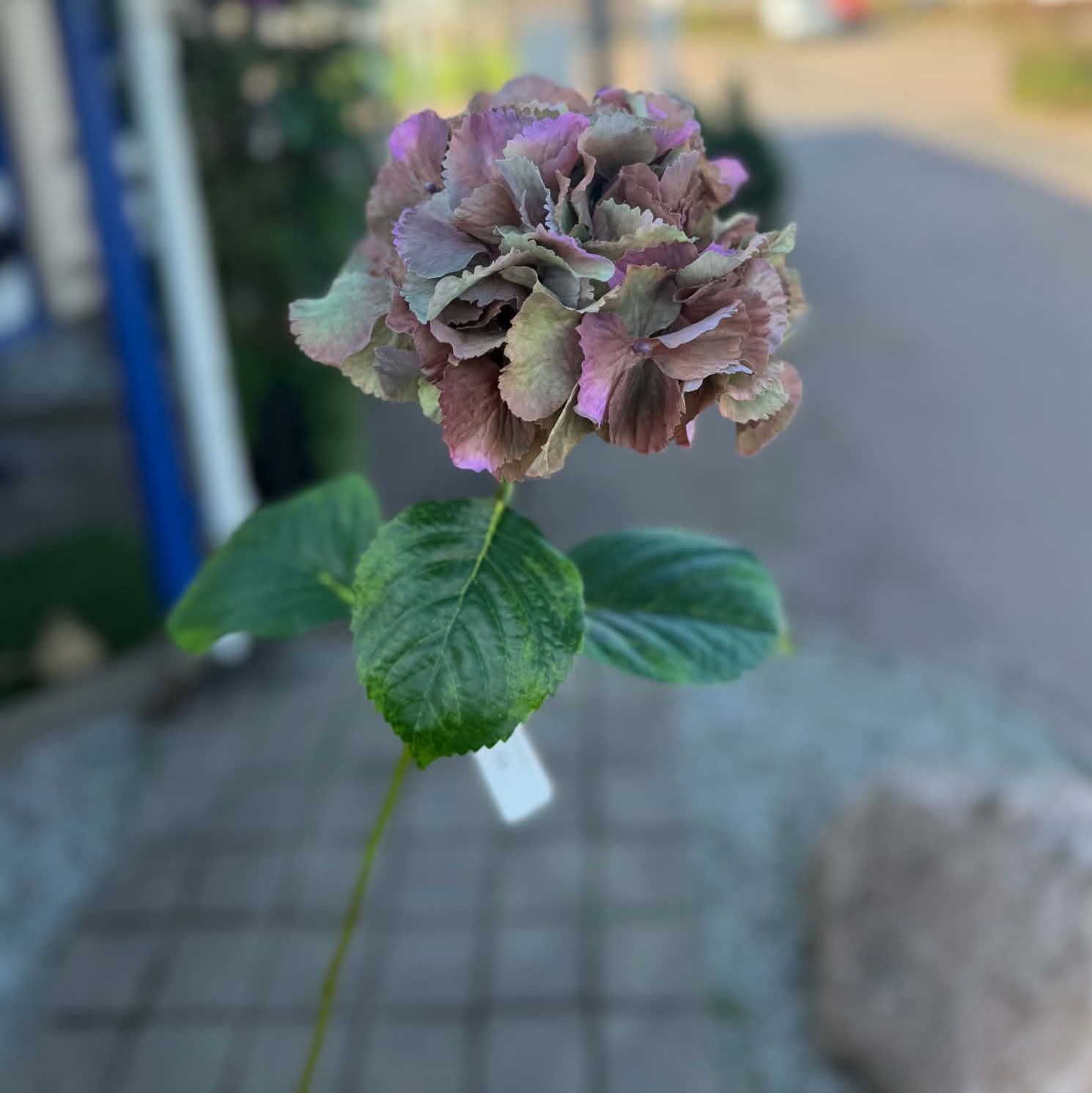 Konstgjord Hortensia snittblomma lilabrun och grön 72 cm - Bild 2