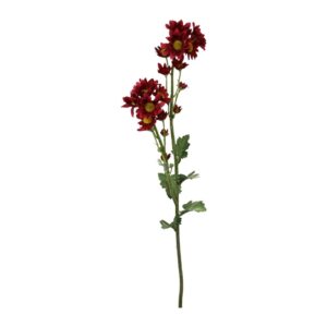 Daisy | Konstgjord tusensköna bordo UV 68 cm