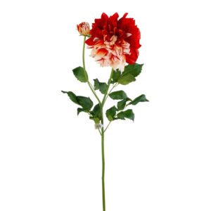 Konstgjord snittblomma | Dahlia Röd/Gul UV 82 cm