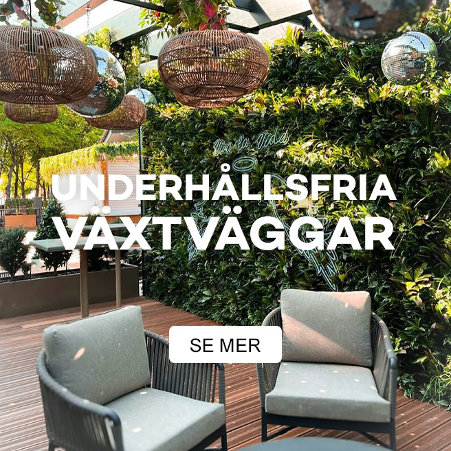 Gröna träd