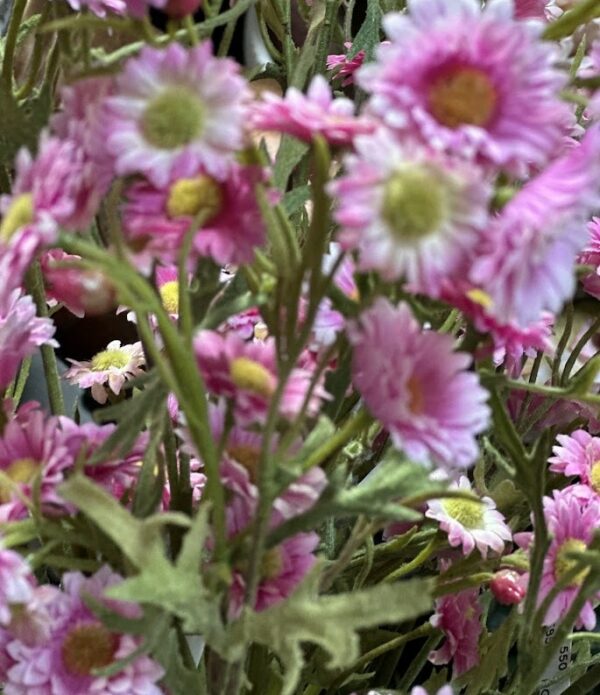 Aster | Konstgjord snittblomma Rosa UV 54 cm - Bild 3