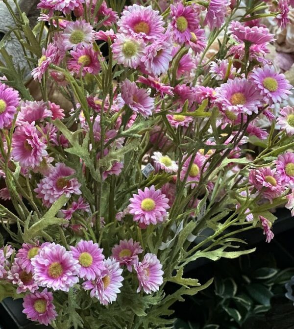 Aster | Konstgjord snittblomma Rosa UV 54 cm - Bild 4
