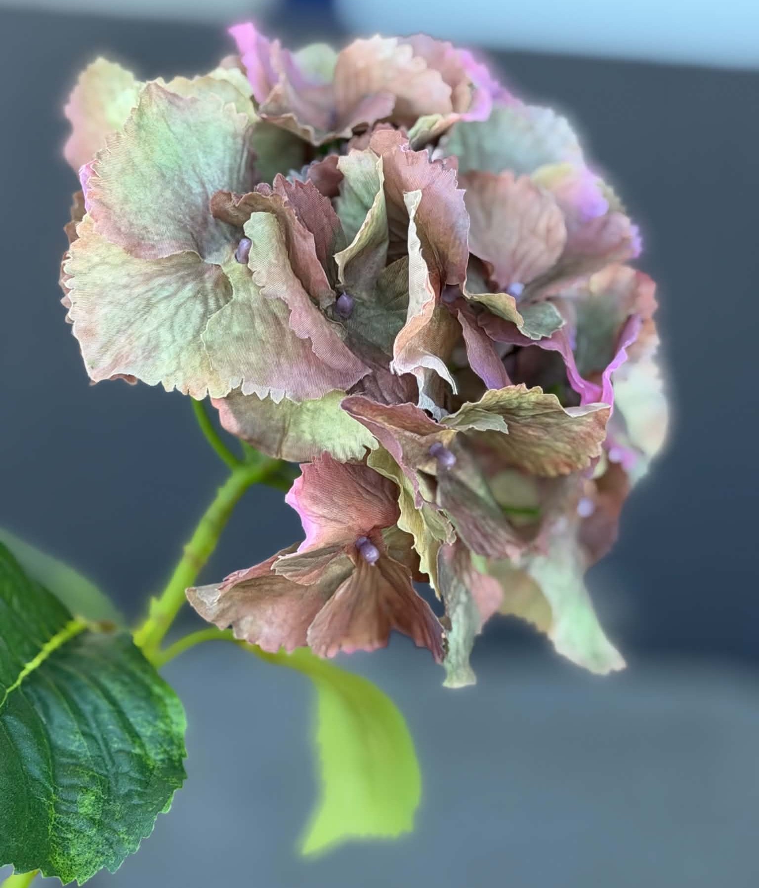 Konstgjord Hortensia snittblomma lilabrun och grön 72 cm - Bild 3
