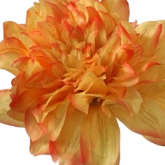 Dahlia | Konstgjord Snittblomma Orange 82 cm