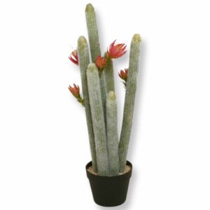 Konstgjord Kaktus Med blomma 80 cm för uthyrning