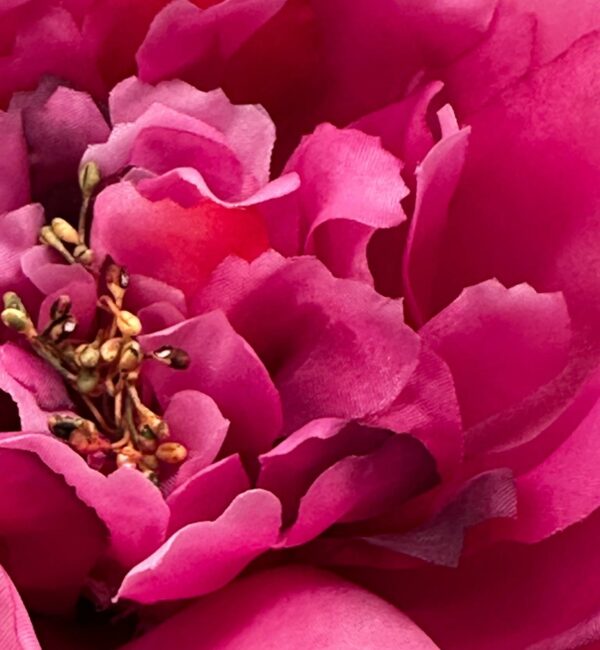 Blombrosch | Accessoar Pion djup rosa 15 cm - Bild 6
