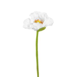Vallmo | Snittblomma Cream UV 52 cm