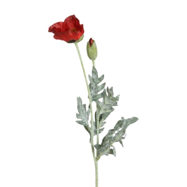 Vallmo | Snittblomma Röd UV 72 cm