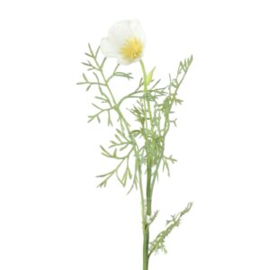 Vallmo | Snittblomma Cream UV 43 cm