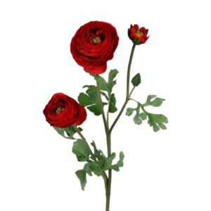 Ranunculus | Konstgjord Snittblomma Röd UV 70 cm