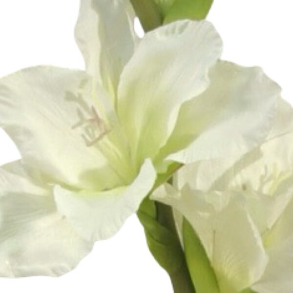 Gladiolus | Konstgjord Snittblomma Vit UV 100 cm