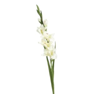 Gladiolus | Konstgjord Snittblomma Vit UV 74 cm
