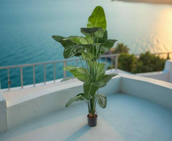 Konstgjord storbladig strelitzia 220 cm
