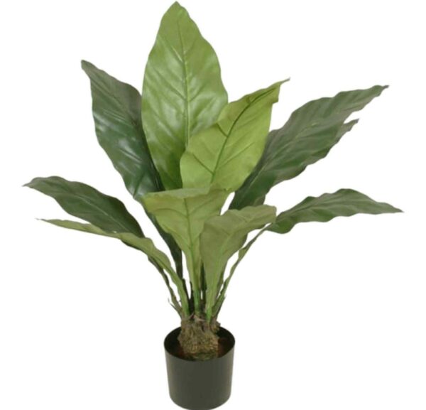 Anthurium | Konstgjord Jungle King Grön 75 cm - Bild 2
