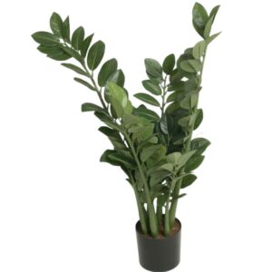Garderobsblomma | Smaragdblomman Zamifolia 66 cm