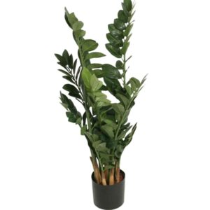 Garderobsblomma | Smaragdblomman Zamifolia 66 cm