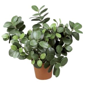 Fikus Panda | Konstgjord krukväxt Grön 30 cm