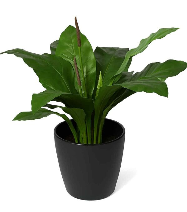 Anthurium | Konstgjord Jungle King Grön 75 cm - Bild 5