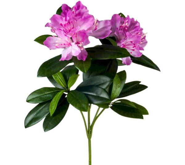 Konstgjord blomkvist av Rhododendron