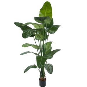 Stor konstgjord grön strelitzia 220 cm på webflower