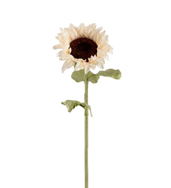 Solros | Konstgjord Snittblomma Creme 60 cm