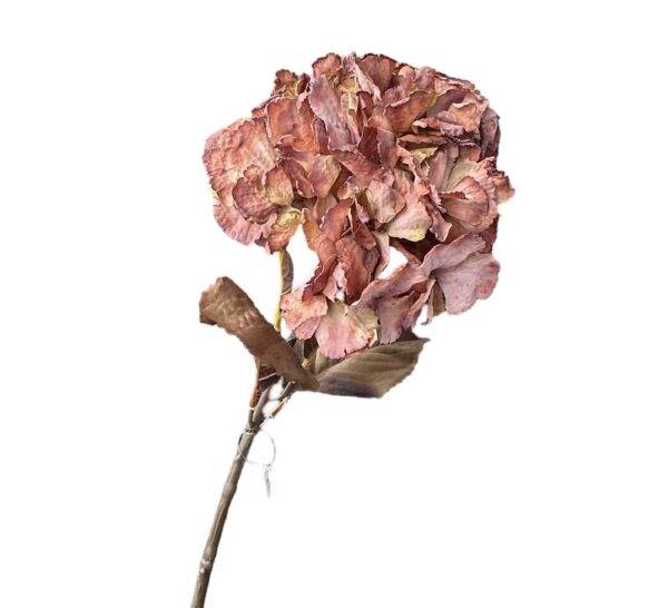 Hortensia | Konstgjord Snittblomma Rose 62 cm - Bild 2