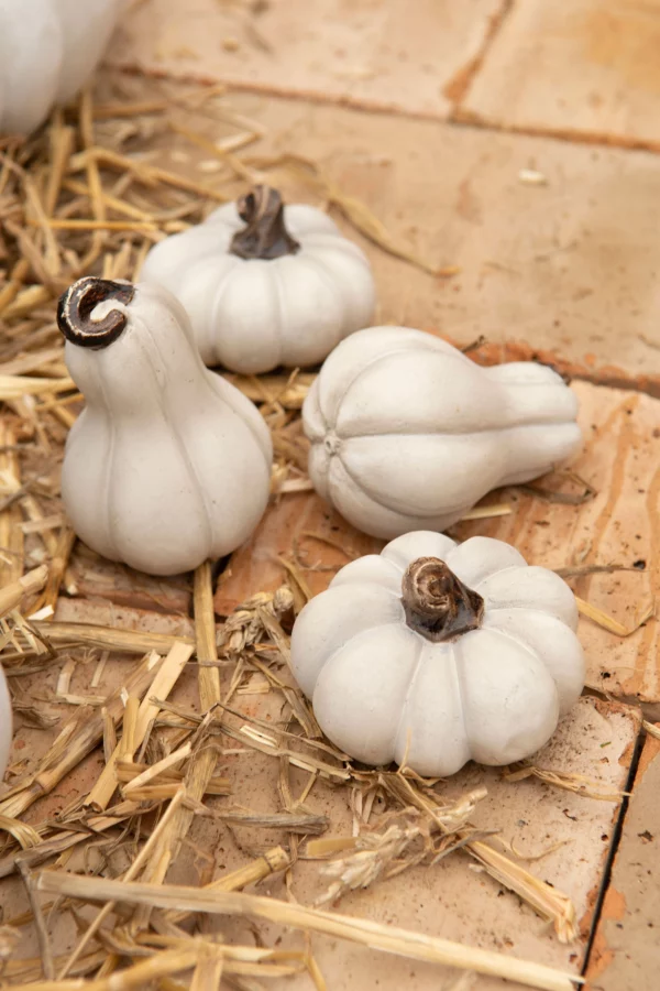 Pumpa | Konstgjord Vit Dekoration 5x8cm