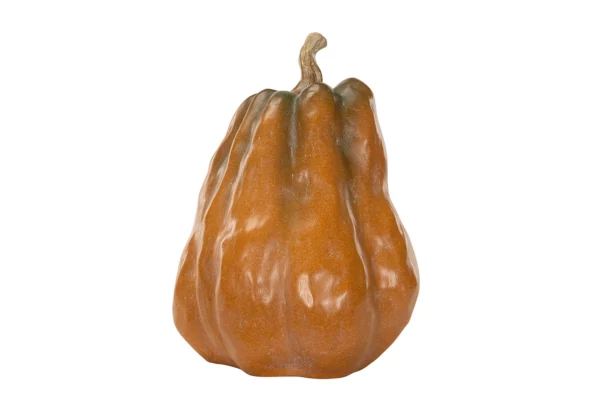 Pumpa | Konstgjord Orange Natur Avlång Poly 24x18cm