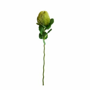 Konstgjord Banksia grön