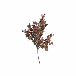 Eucaluptus | Eucalyptus Kvist Mörkröd 70 cm