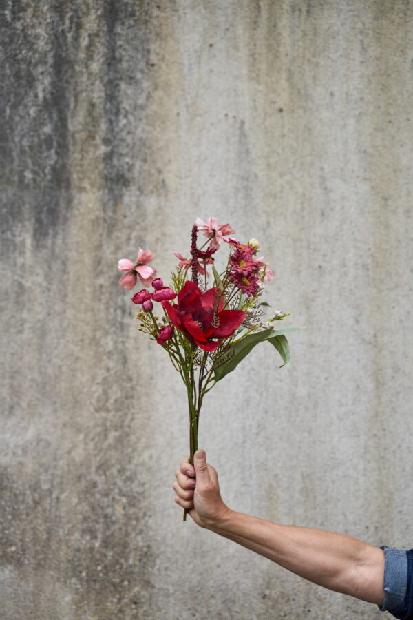 Magnolia | Magnoliakvist Mörkröd 50 cm