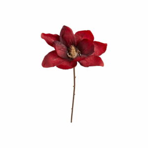 Magnolia | Magnoliakvist Mörkröd 50 cm