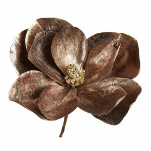 Brun & guld färgad Magnolia blomma på stjälk