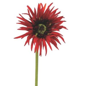 Gerbera | Konstgjord gerbera mörkröd 62 cm