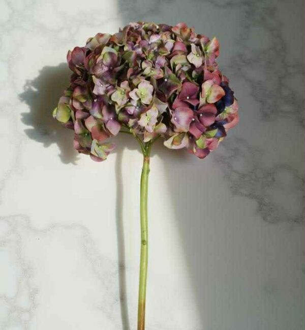 Hortensia | Konstgjord Snittblomma Höst Vinröd 65 cm - Bild 3