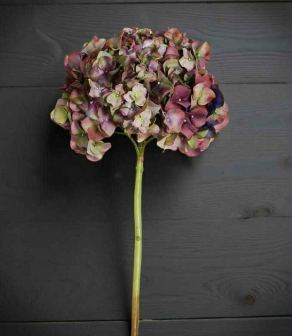 Hortensia | Konstgjord Snittblomma Höst Vinröd 65 cm - Bild 2