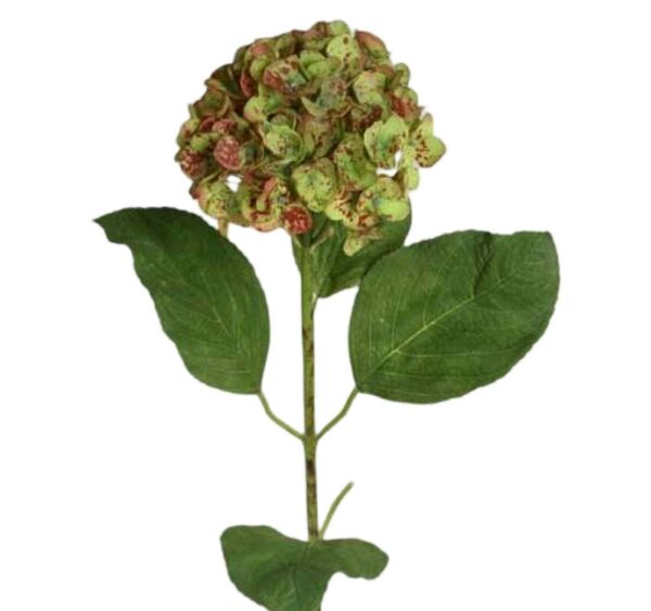 Hortensia | Konstgjord Snittblomma Höst 80 cm - Bild 3