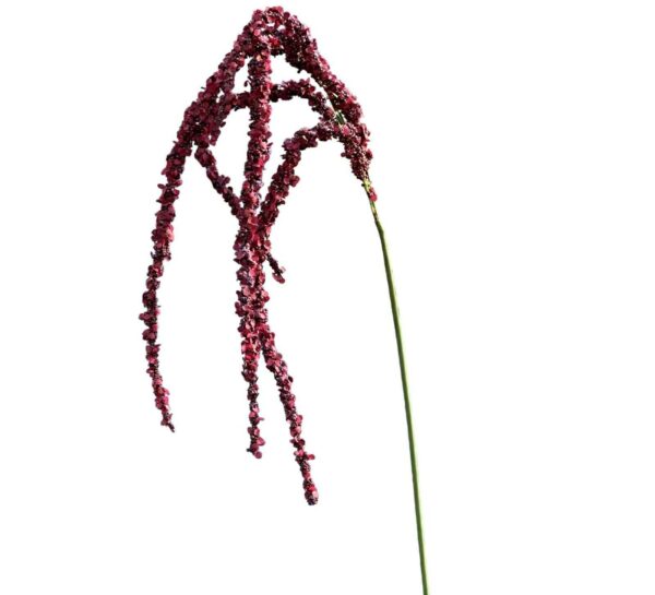 Rävsvans | Konstgjord snittblomma Röd 100 cm - Bild 2