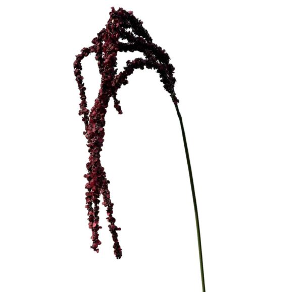 Rävsvans | Konstgjord snittblomma Röd 100 cm