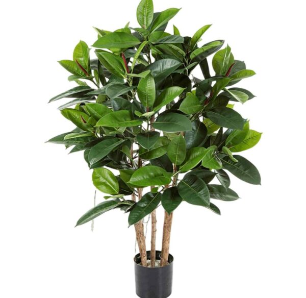 Fikus | Konstgjord Elastica Robusta äkta stam Grön 120 cm